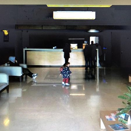 Irina Apartment 1 バトゥーミ エクステリア 写真